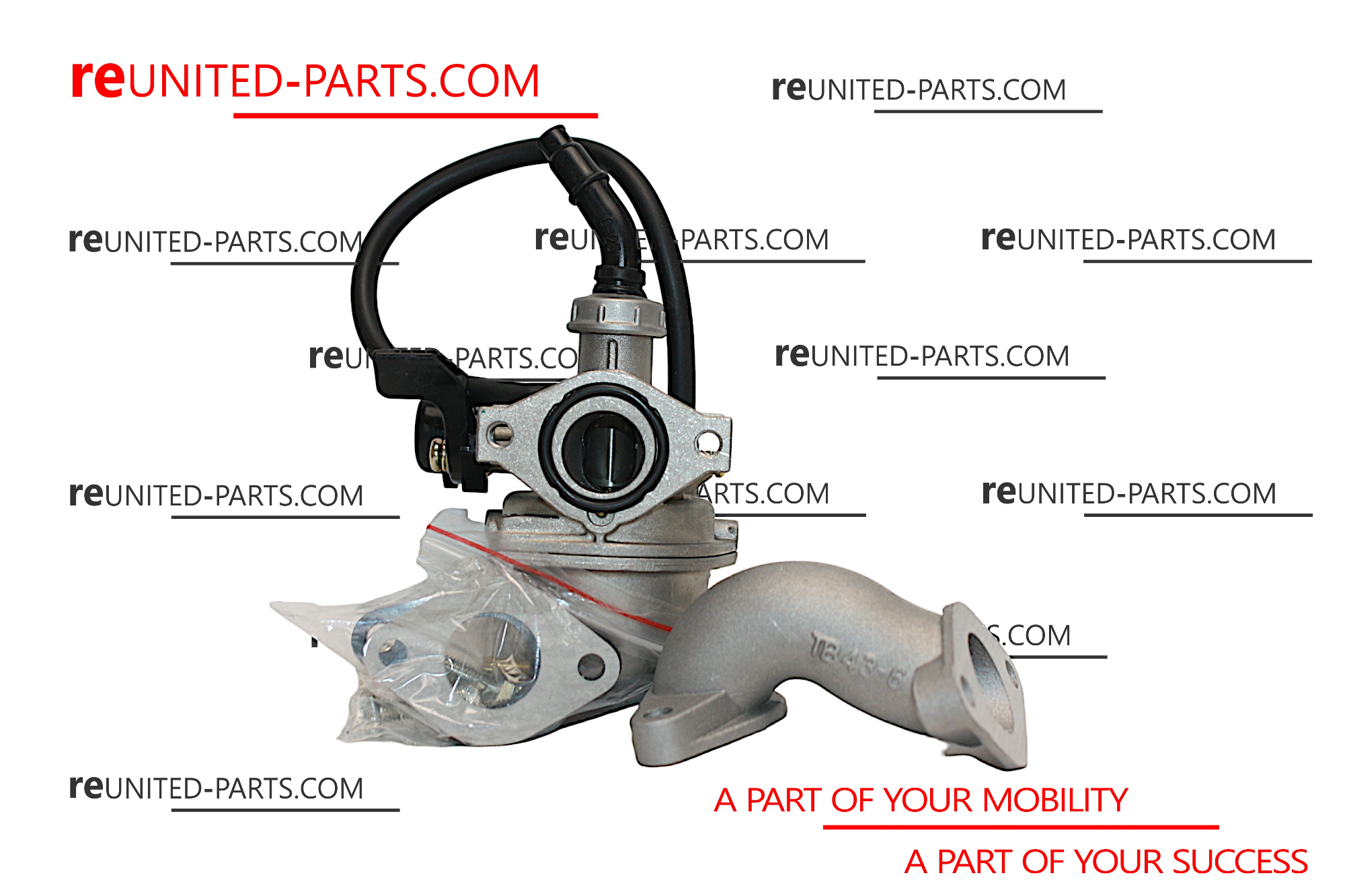 Vergaser mit Dichtung und Ansaugstutzen | Honda Monkey/Dax 